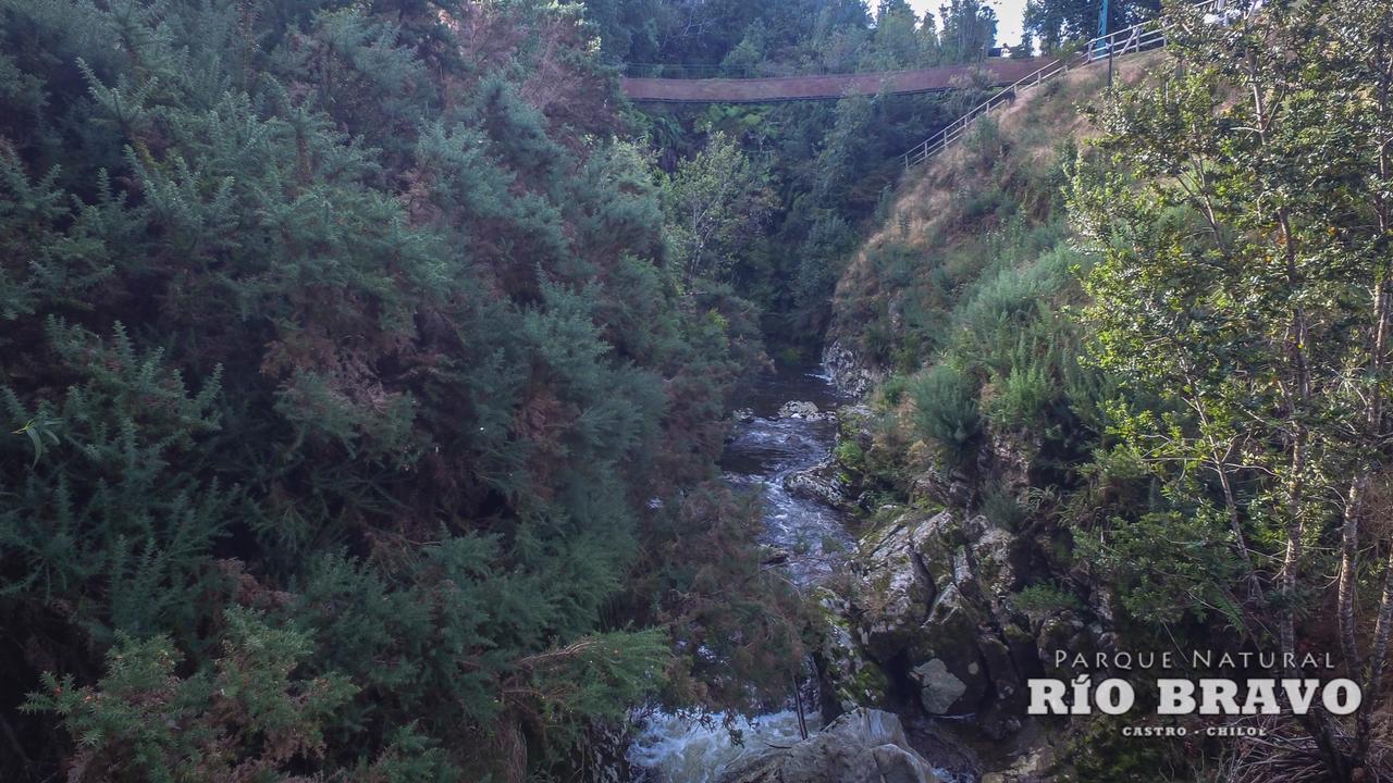 Parque Natural Rio Bravo Lodge Castro Luaran gambar