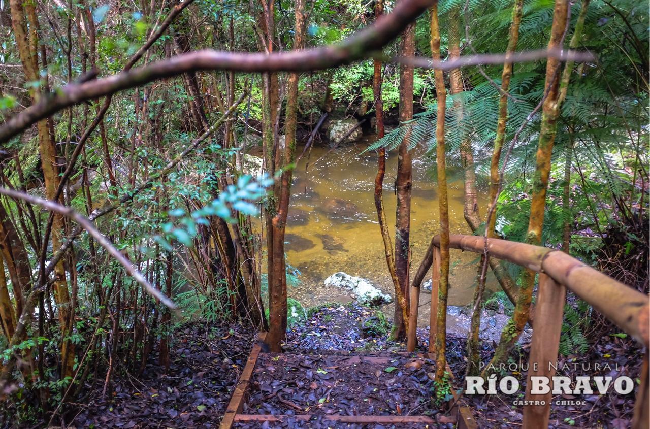 Parque Natural Rio Bravo Lodge Castro Luaran gambar