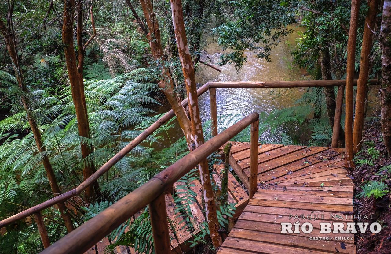Parque Natural Rio Bravo Lodge Castro Luaran gambar