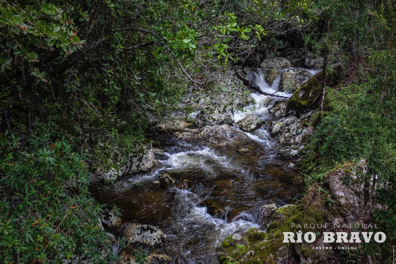 Parque Natural Rio Bravo Lodge Castro Bilik gambar