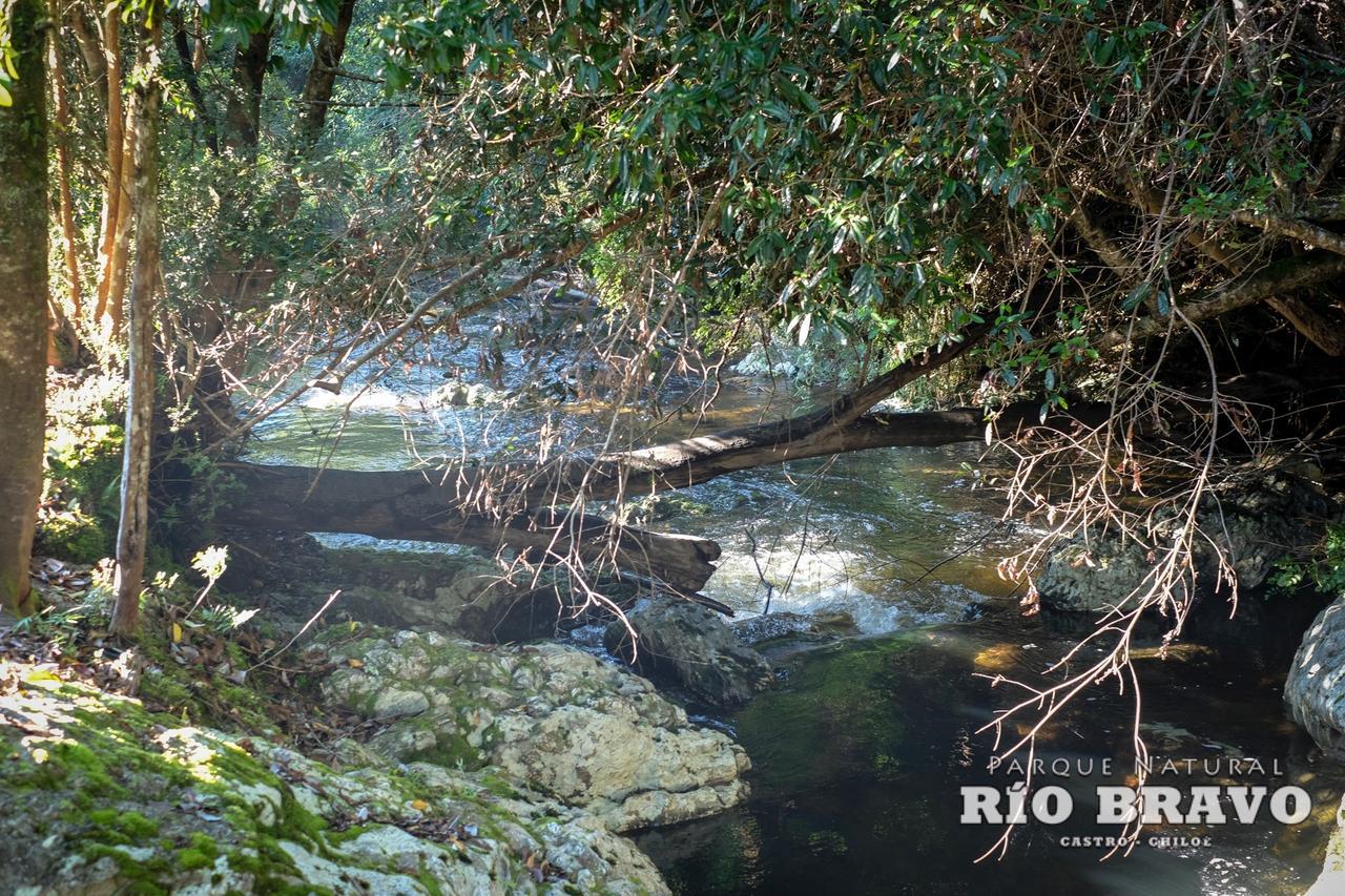 Parque Natural Rio Bravo Lodge Castro Luaran gambar